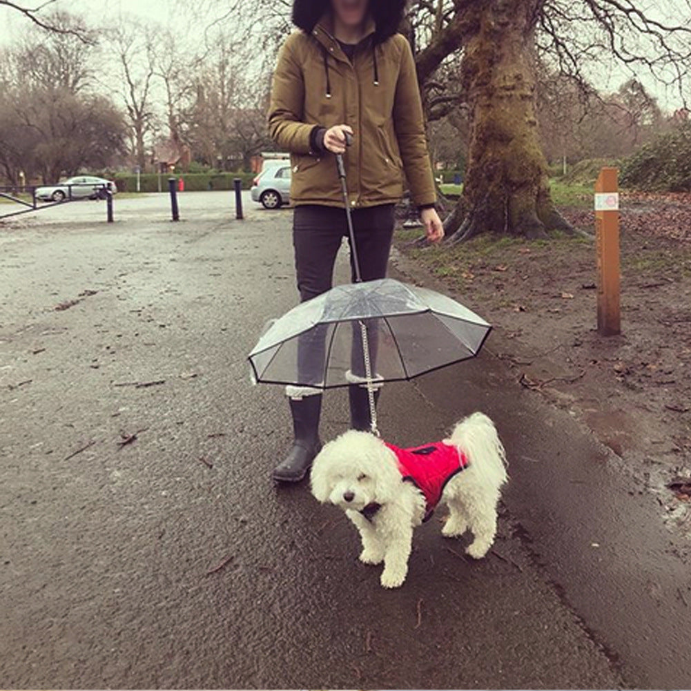Transparent Pet Umbrella Dog Leash Pawpampered