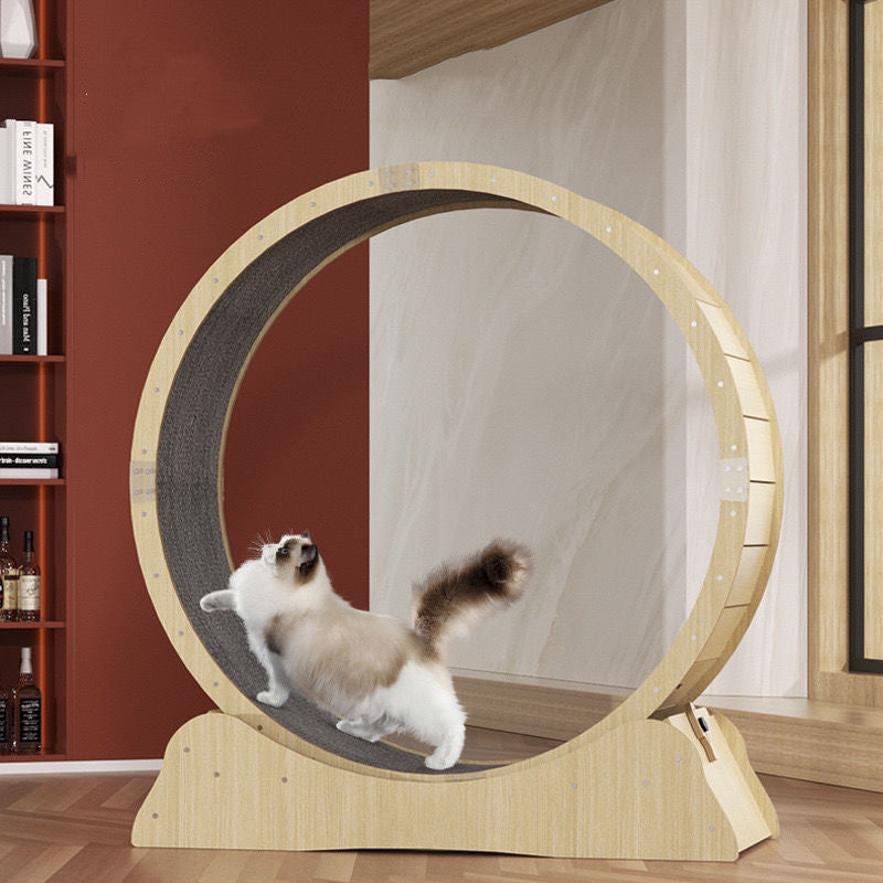 Cat Fitness Roller Silent Sports Running Treadmill Wheel Pawpampered