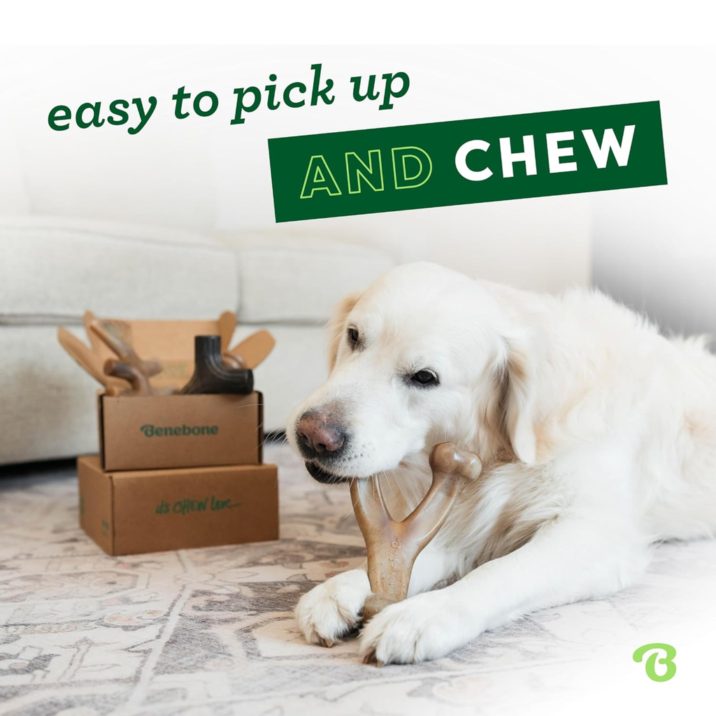 Dog Chew Toys for Aggressive Chewers WTN Essentials