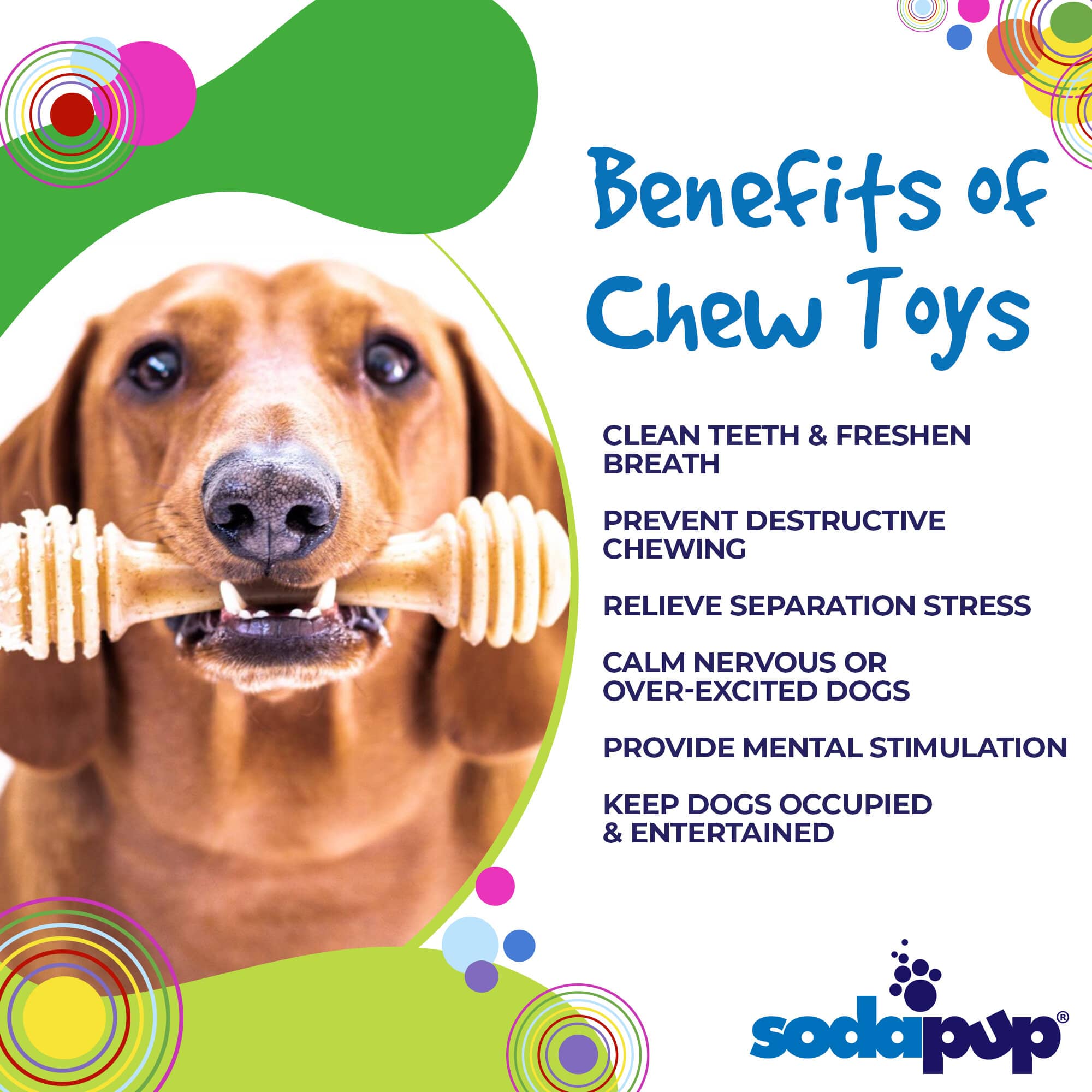 Honey Bone Nylon Dog Toy for the Toughest Chewers SodaPup/True Dogs, LLC