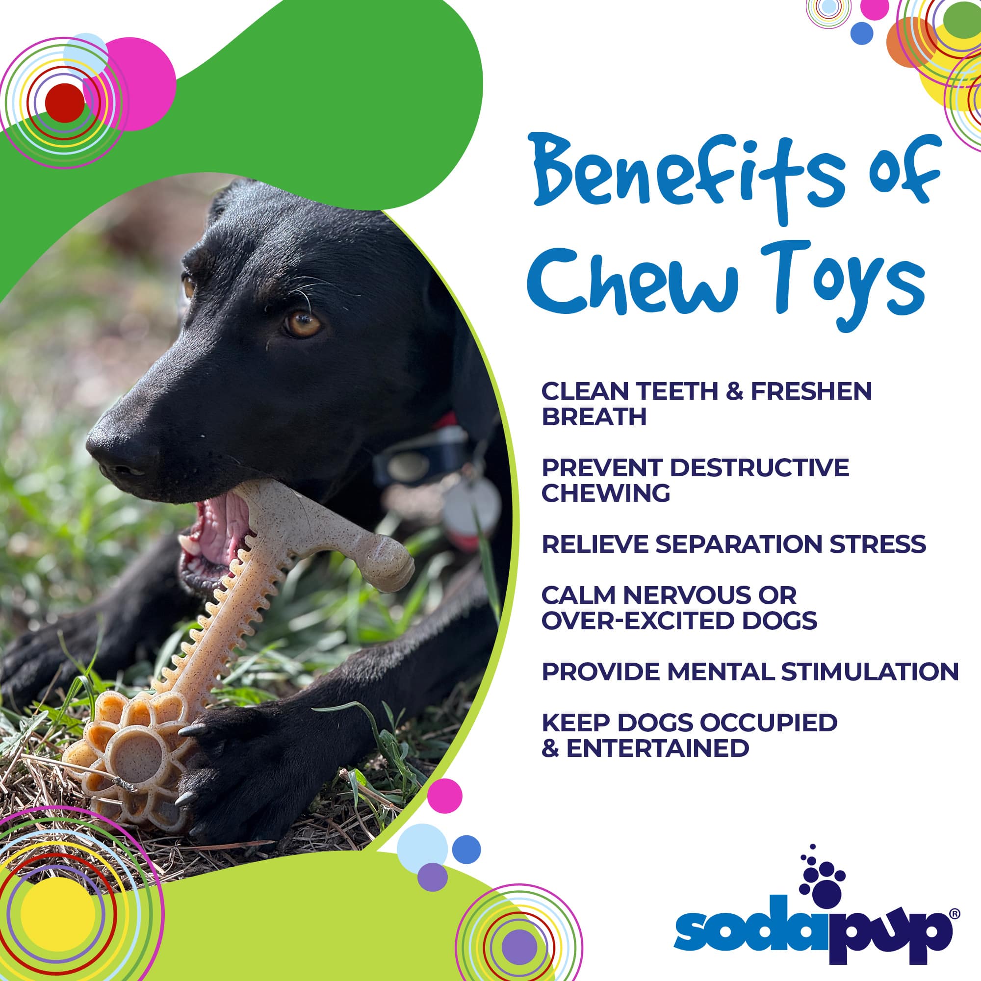 Honey Bone Dental Flower Tower - Indestructible Nylon Dog Chew Toy XL | USA SodaPup/True Dogs, LLC