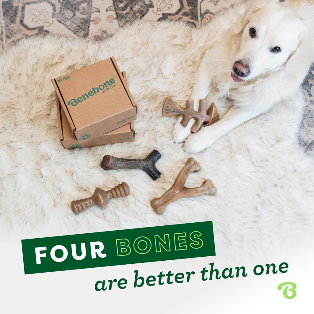 Dog Chew Toys for Aggressive Chewers WTN Essentials