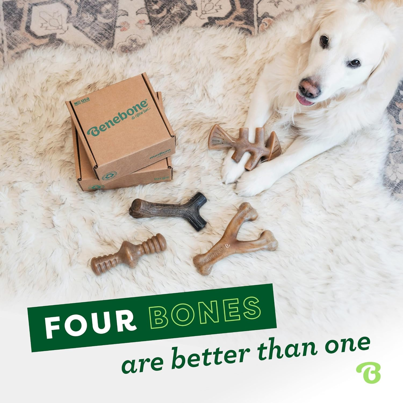 Dog Chew Toys for Aggressive Chewers WTN Essentials