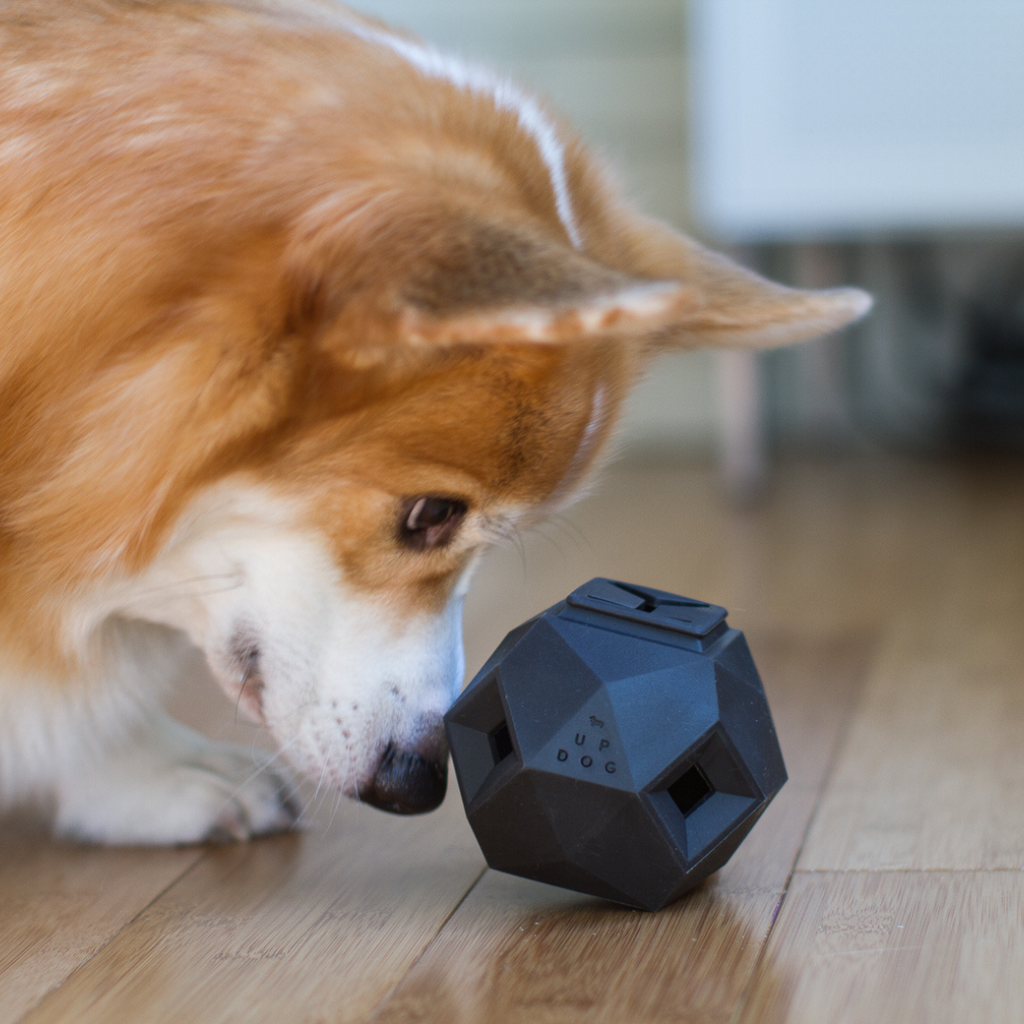 The Odin Treat Dispensing Toy For Dogs Up Dog Shop