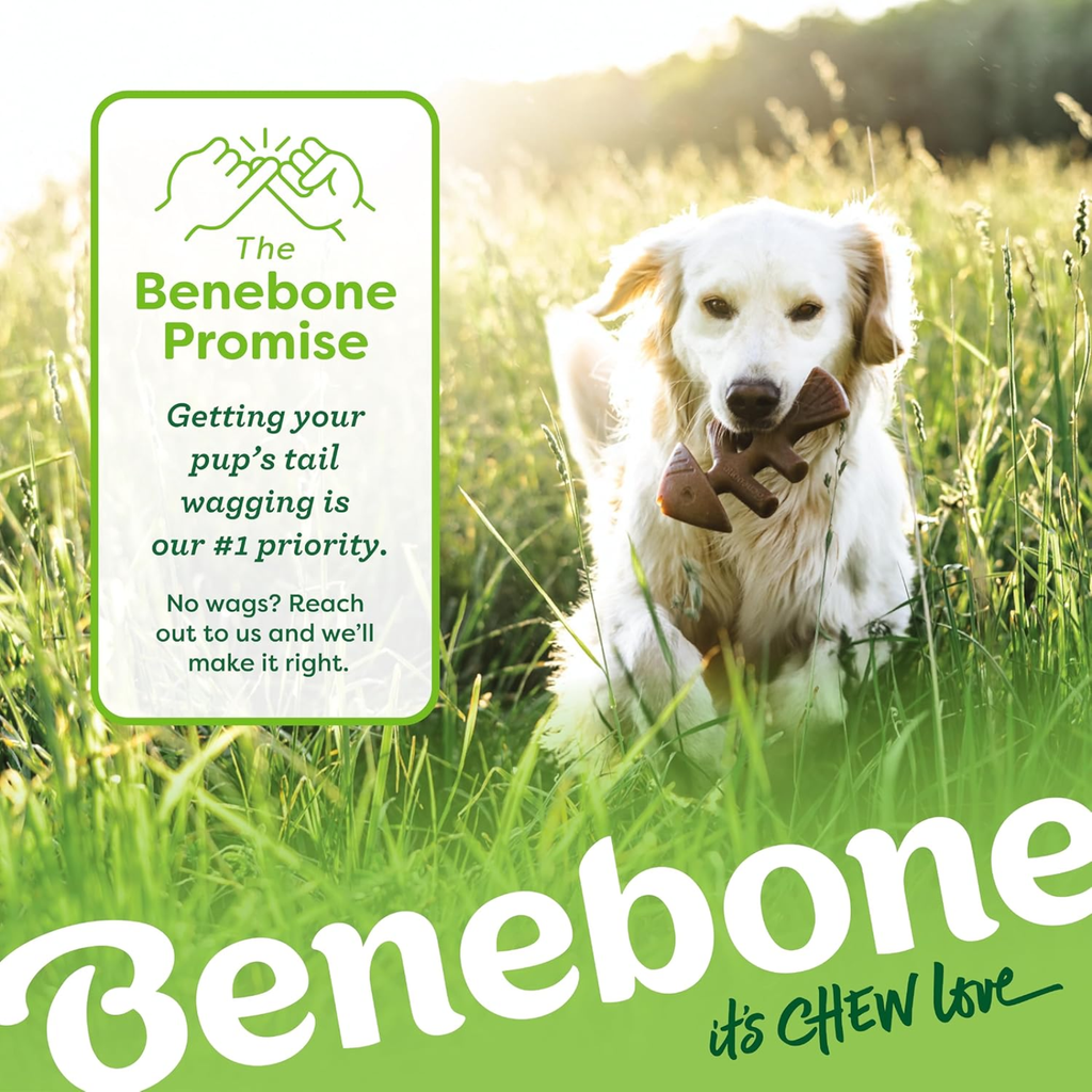 Dog Chew Toys for Aggressive Chewers WTN Essentials
