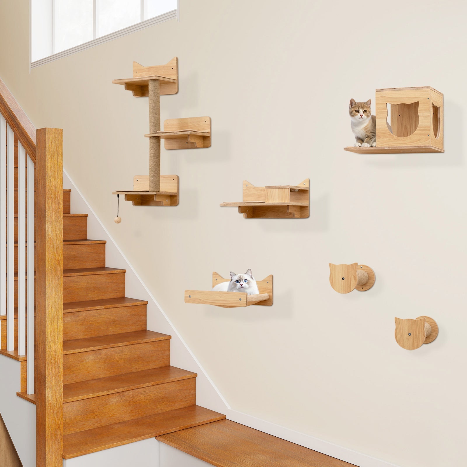6 Pieces Cat Wall Furniture Set Kitten Wall Mounted Shelves-Natural DirectDeals
