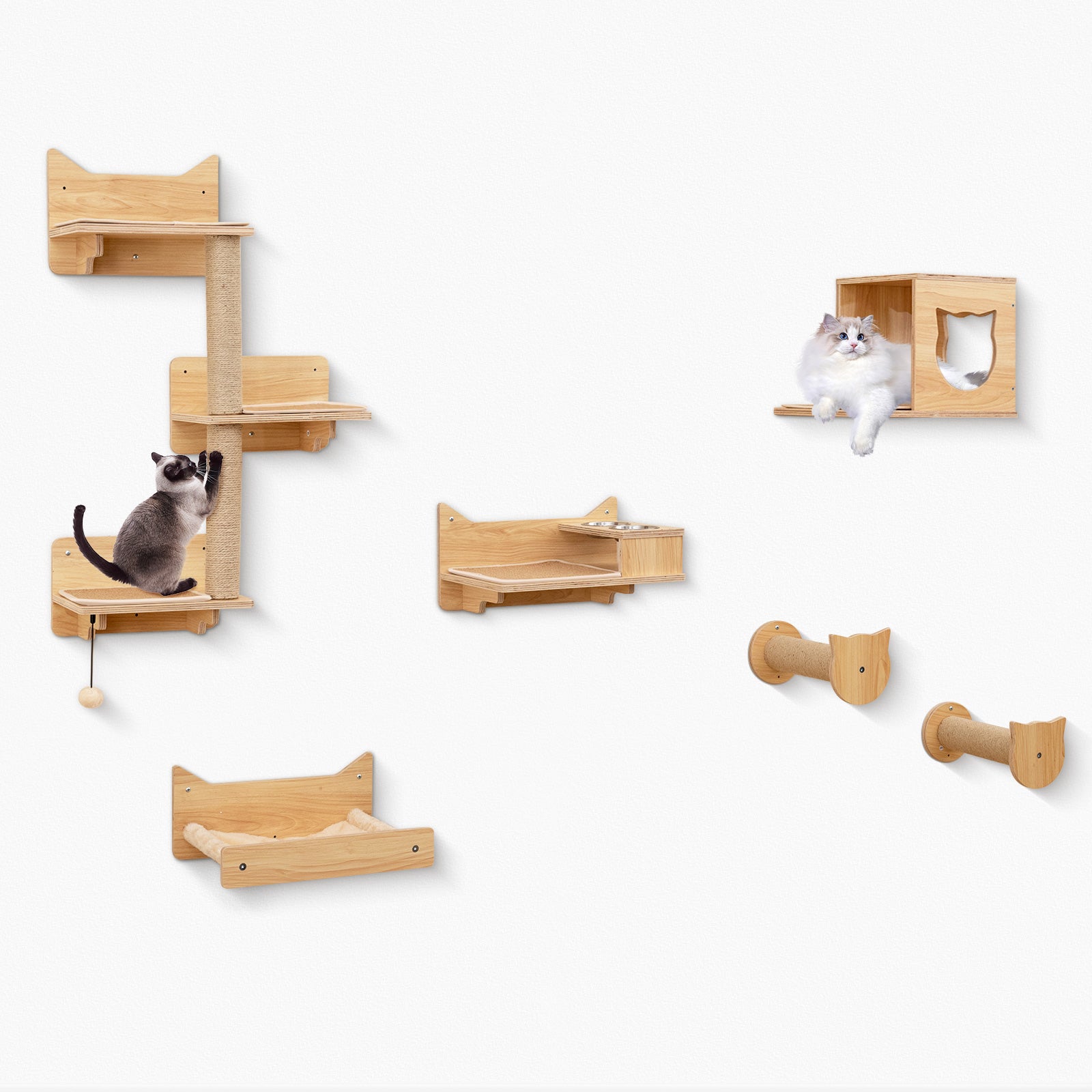 6 Pieces Cat Wall Furniture Set Kitten Wall Mounted Shelves-Natural DirectDeals