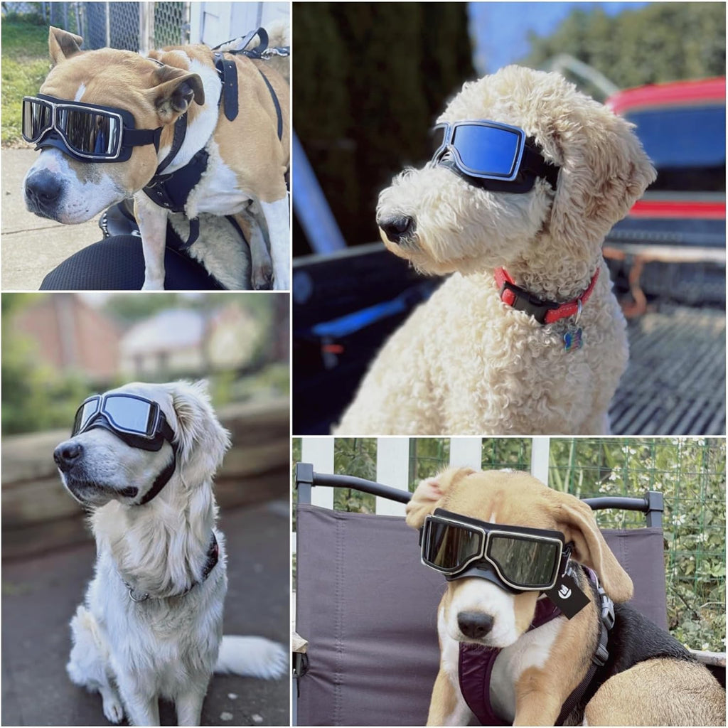 Dog Goggles Medium to Large Breed Pilot Style Jane's Pet Boutique