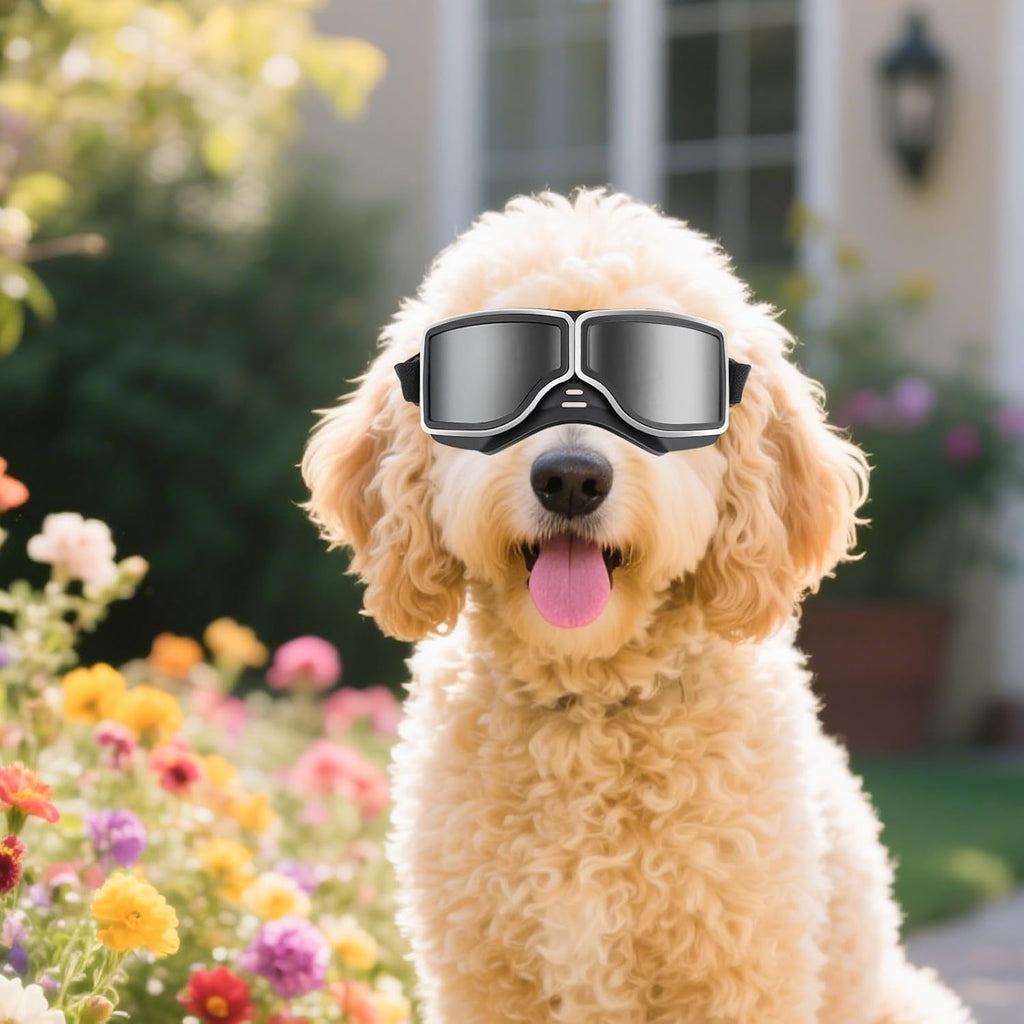 Dog Goggles Medium to Large Breed Pilot Style Jane's Pet Boutique