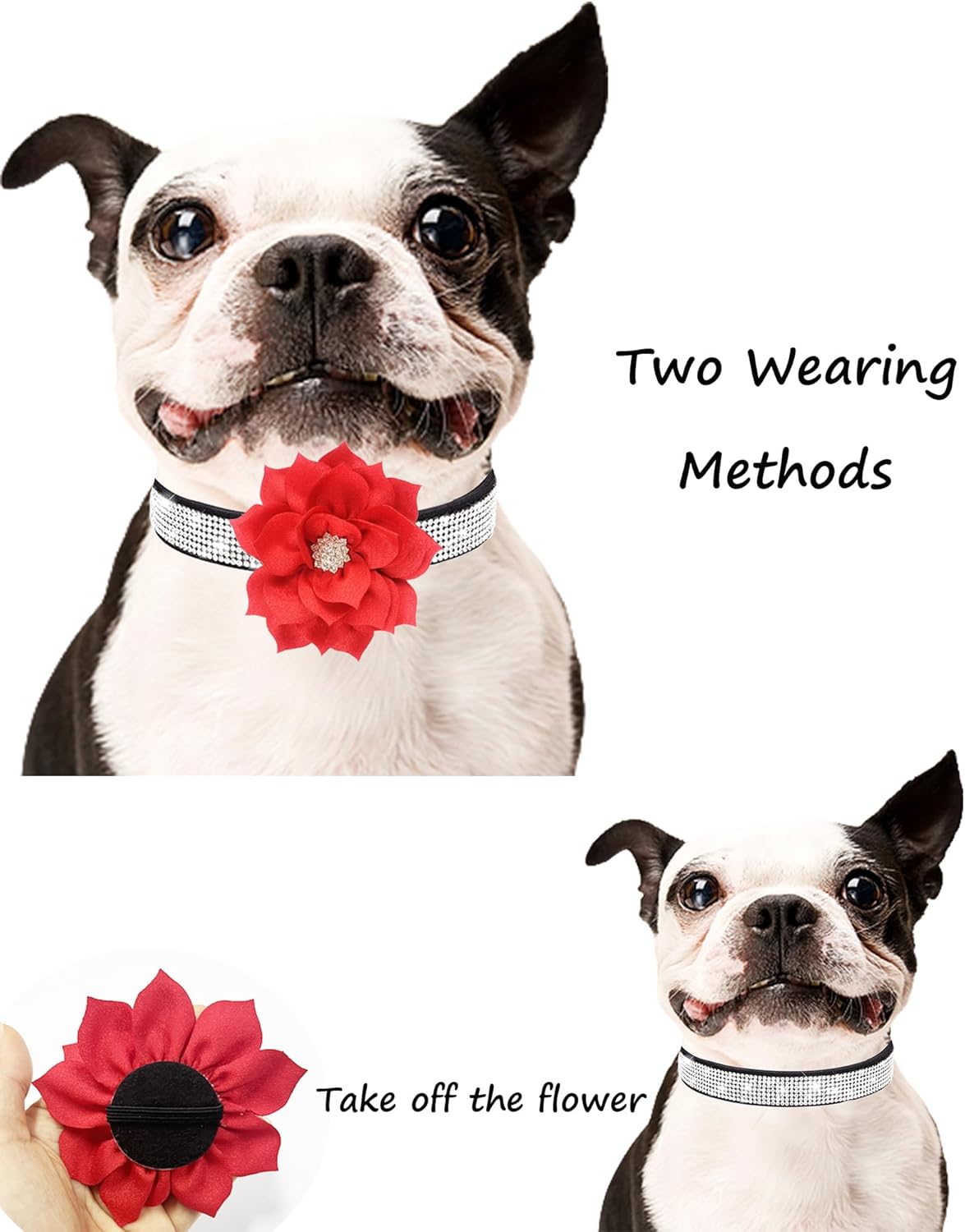 Rhinestone Sparkly Flower Dog Collar with Detachable Bloom Jane's Pet Boutique