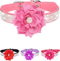 Rhinestone Sparkly Flower Dog Collar with Detachable Bloom Jane's Pet Boutique