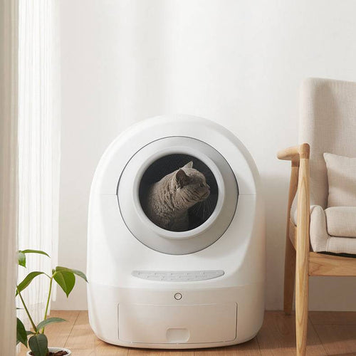Automatic Enclosed Wi-Fi Smart Cat Litter Box Pawpampered