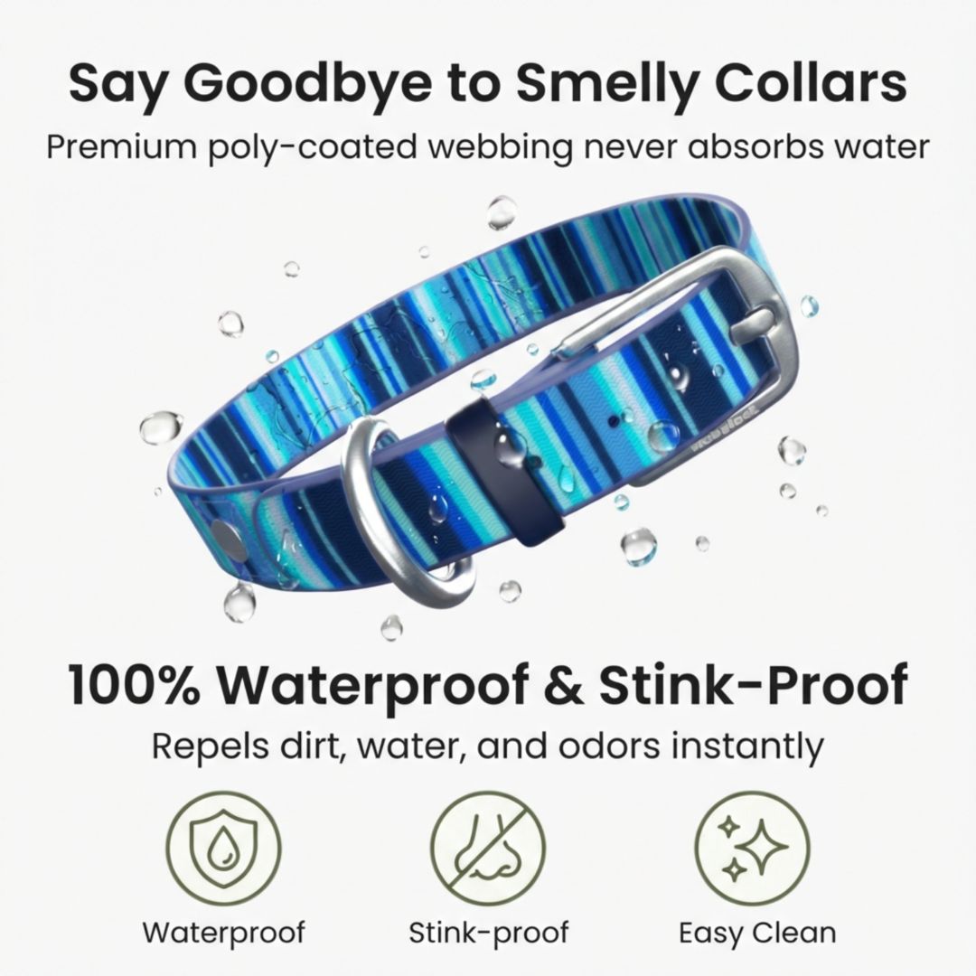 Waterproof Dog Collars Rubyloo