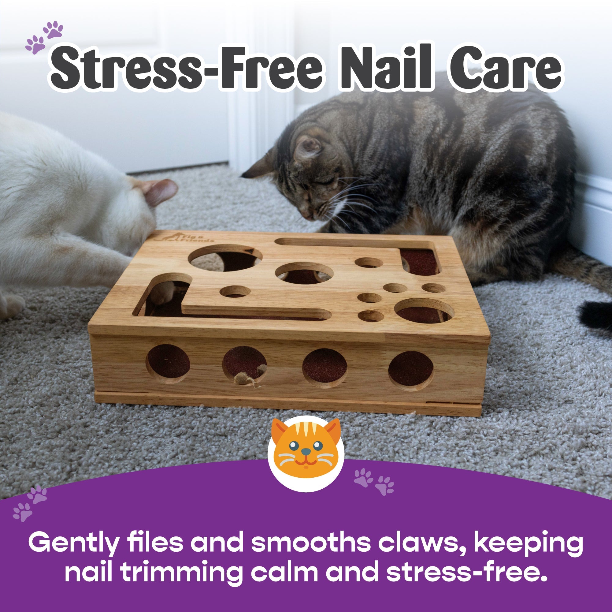 *The Original* Cat Nail File Enrichment Box Fig & Friends