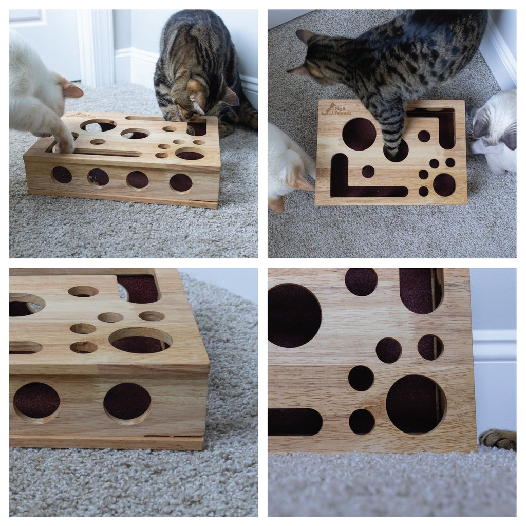 *The Original* Cat Nail File Enrichment Box Fig & Friends