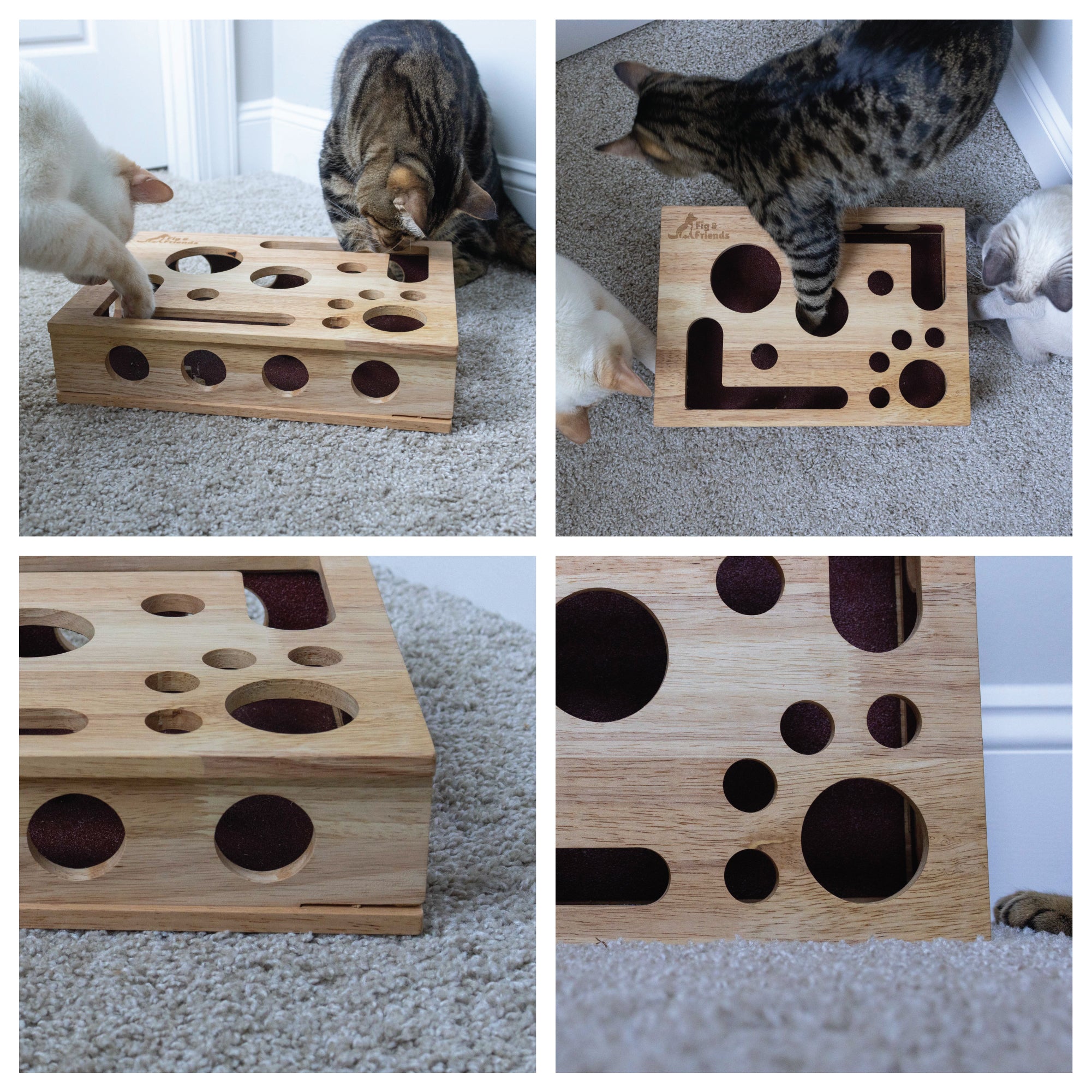 *The Original* Cat Nail File Enrichment Box Fig & Friends
