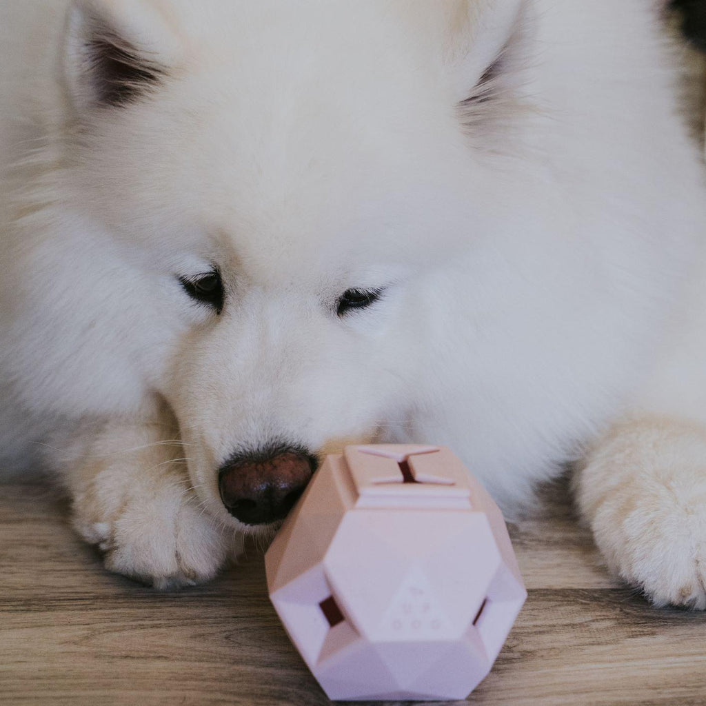 The Odin Treat Dispensing Toy For Dogs Up Dog Shop