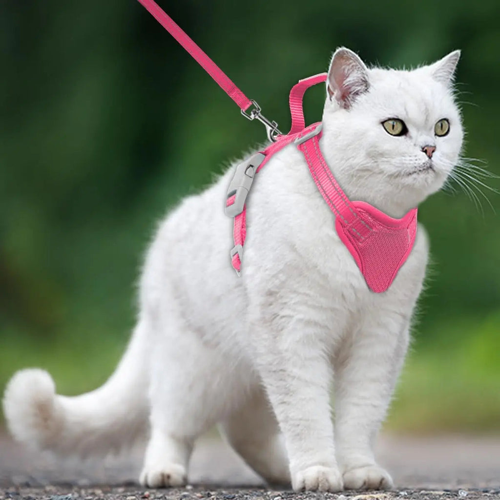 Escape Proof Cat Harness & Leash Wags & Whiskers Pet Supply