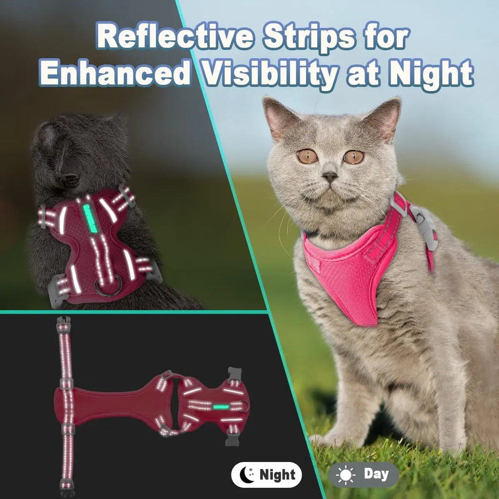 Escape Proof Cat Harness & Leash Wags & Whiskers Pet Supply