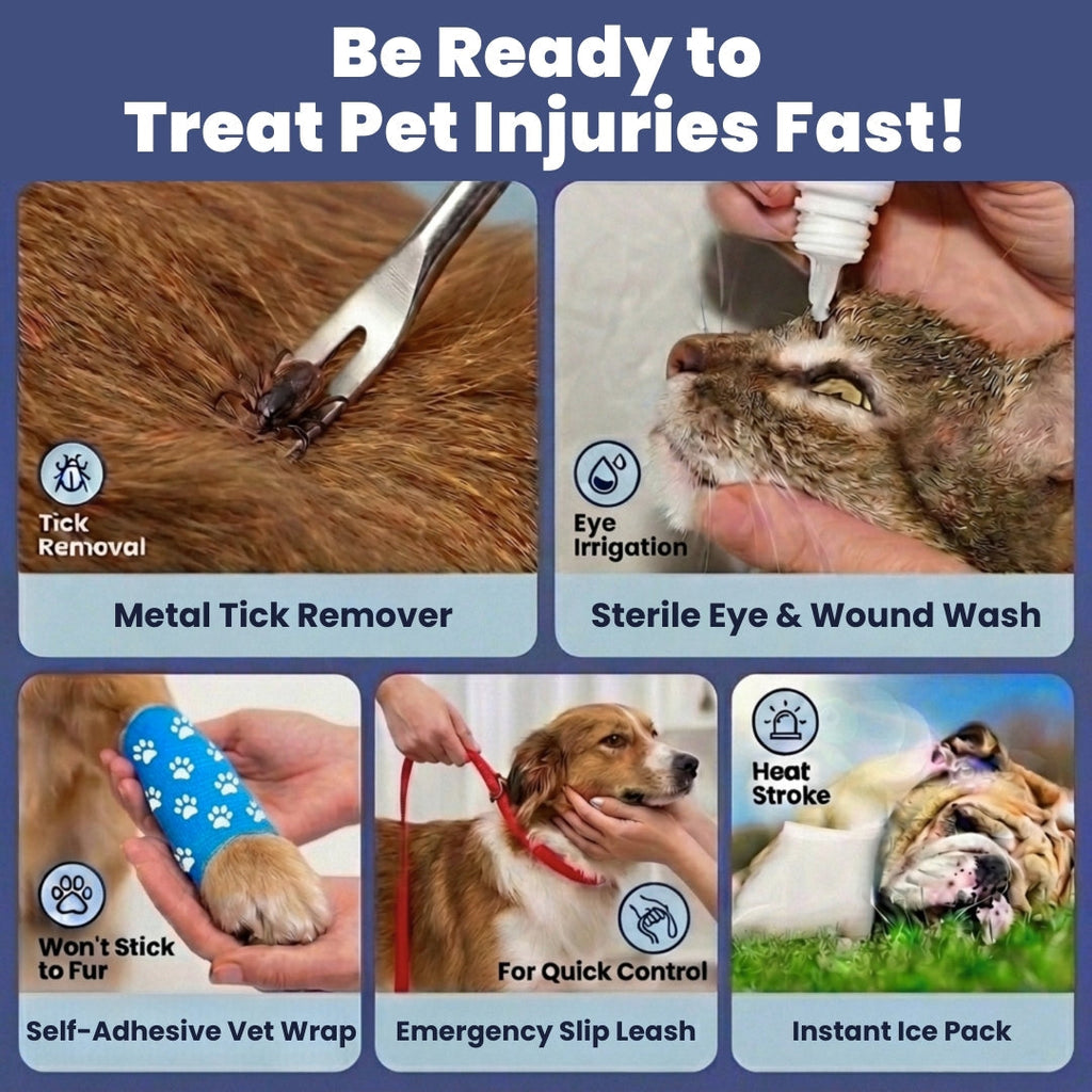 Pet First Aid Kit (Dogs & Cats) with Vet-Approved Essentials Rubyloo