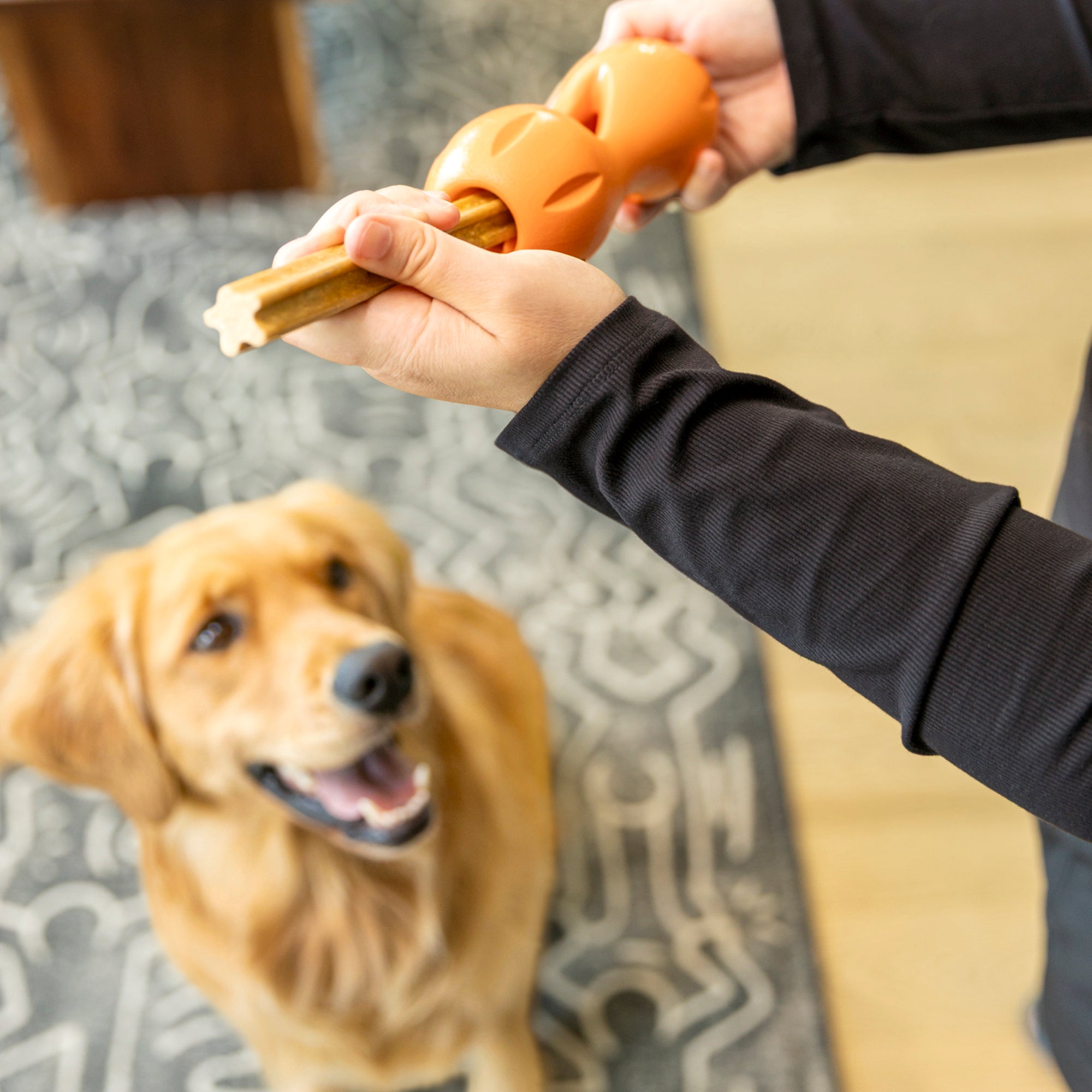 Natural Dental Sticks Large West Paw