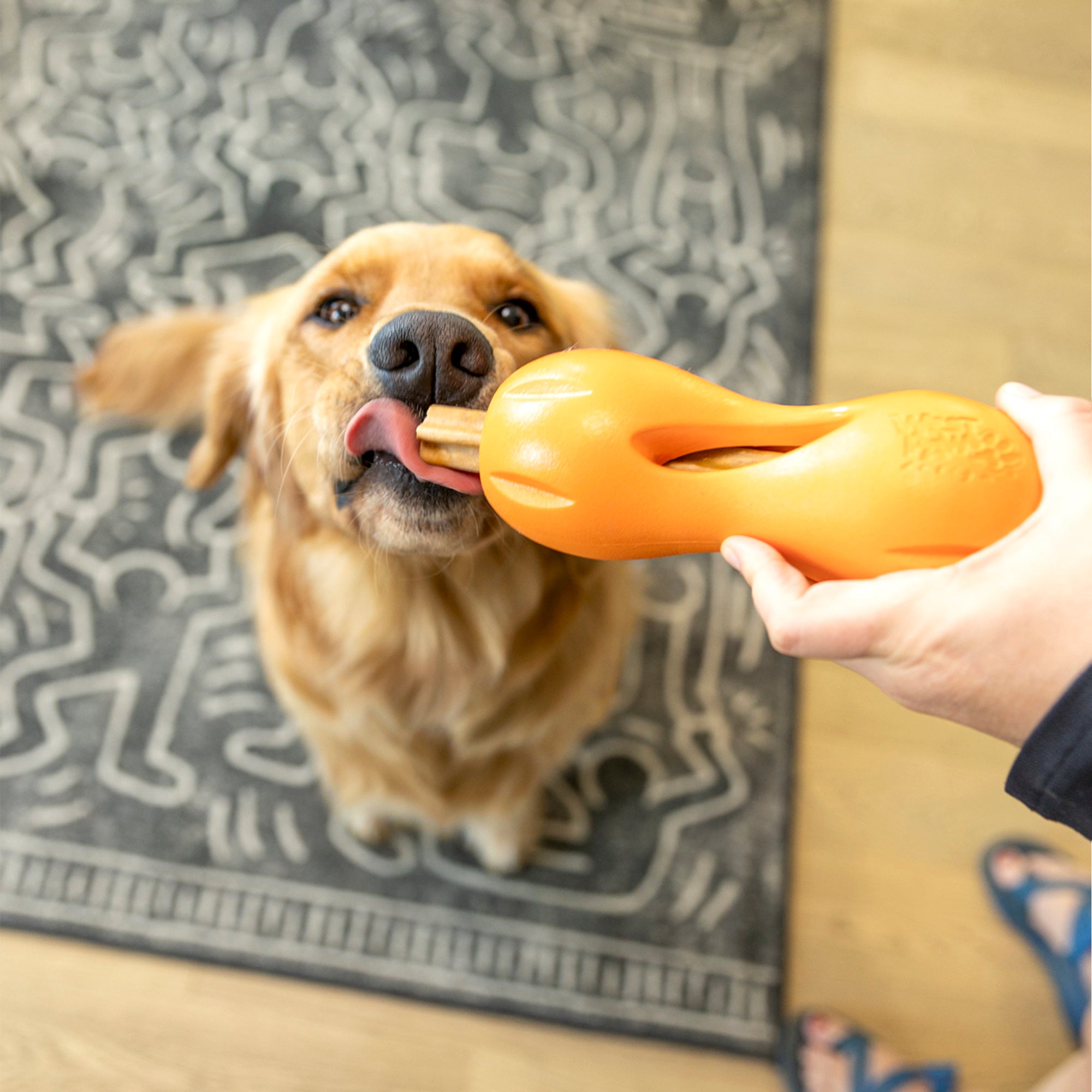 Natural Dental Sticks Large West Paw
