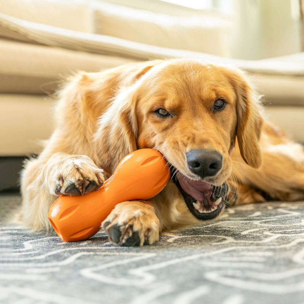 Natural Dental Sticks Large West Paw