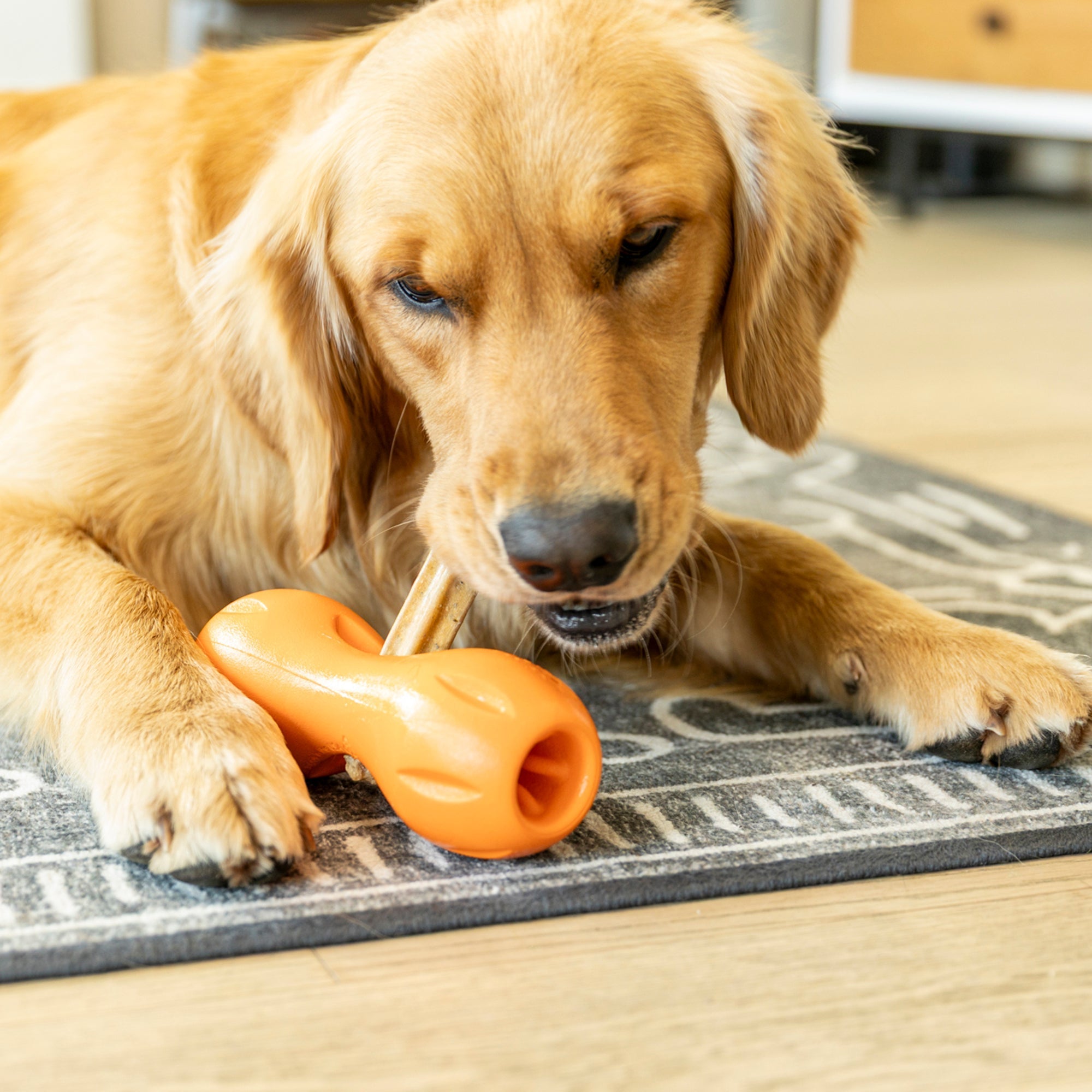 Natural Dental Sticks Large West Paw