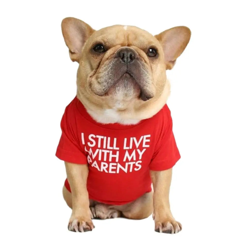 Quality Breathable Summer/Spring Dog Clothes Soft Letters Printed French Bulldog Pet Clothes New Fashion T-shirt For Dog Hoopreety Pet Fashion Store