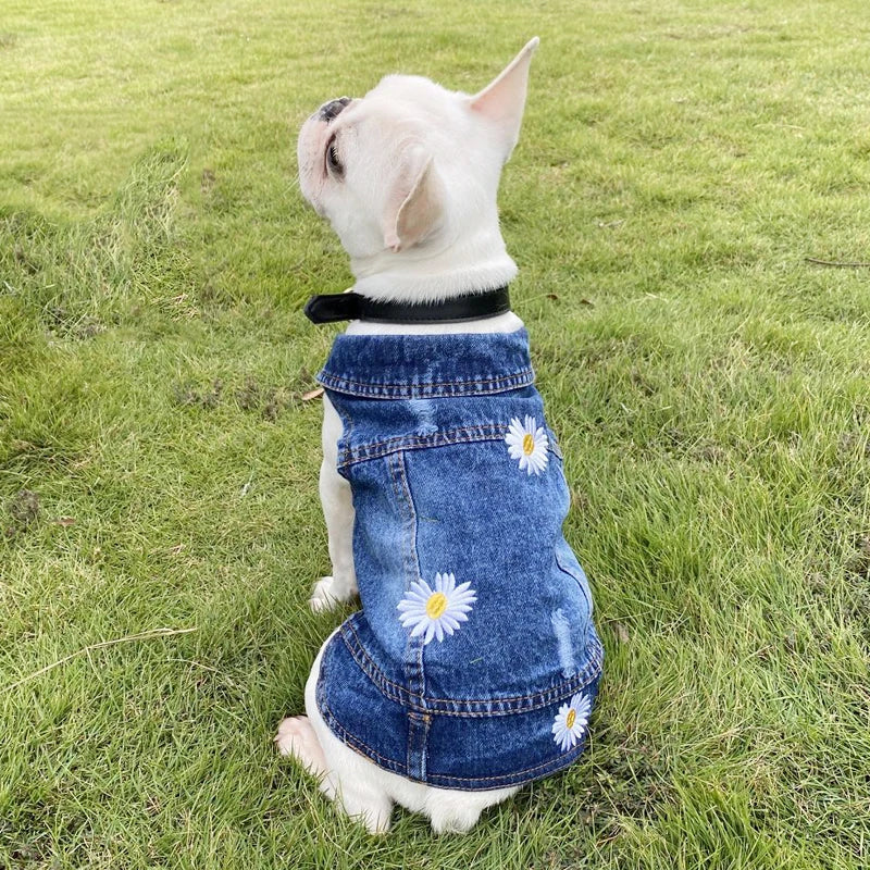 XS-2XL Denim Vest Coat Small pet Hoopreety Pet Fashion Store