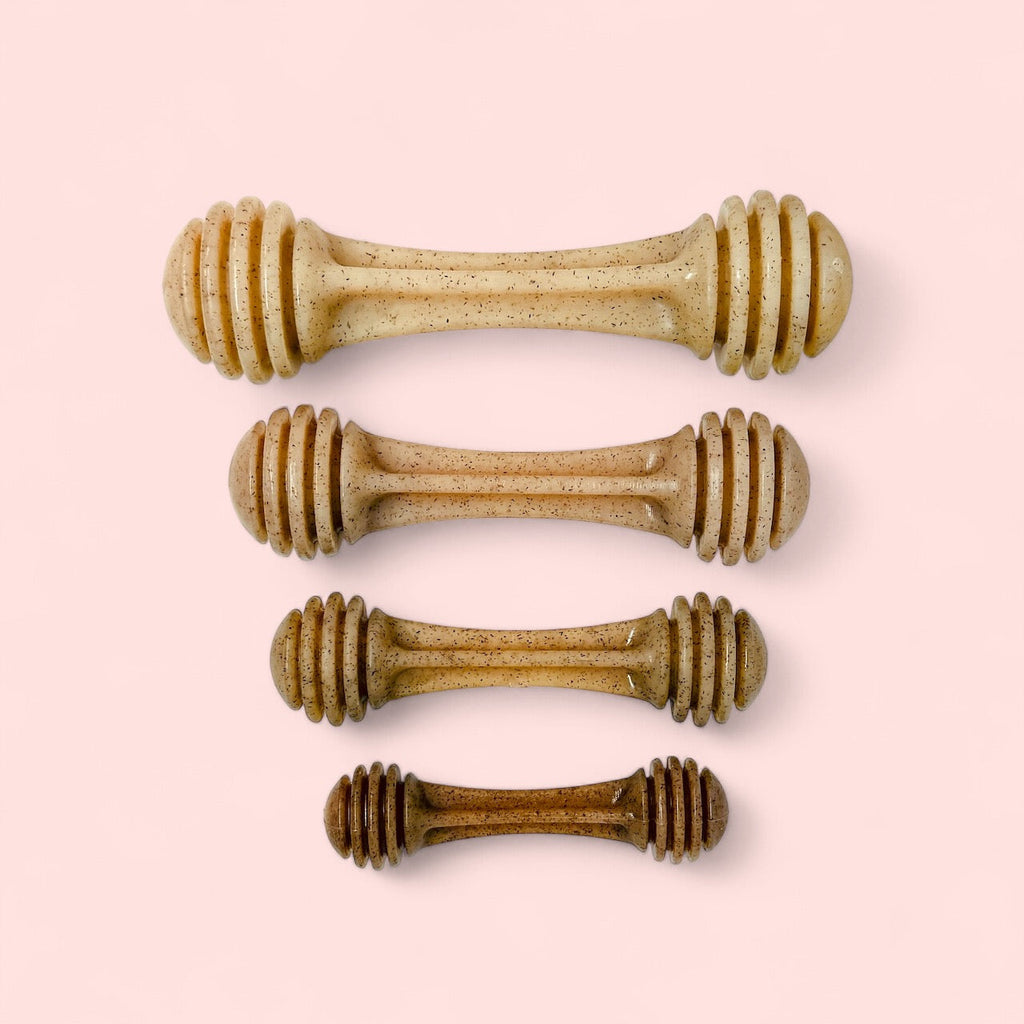 Honey Bone Nylon Dog Toy for the Toughest Chewers SodaPup/True Dogs, LLC