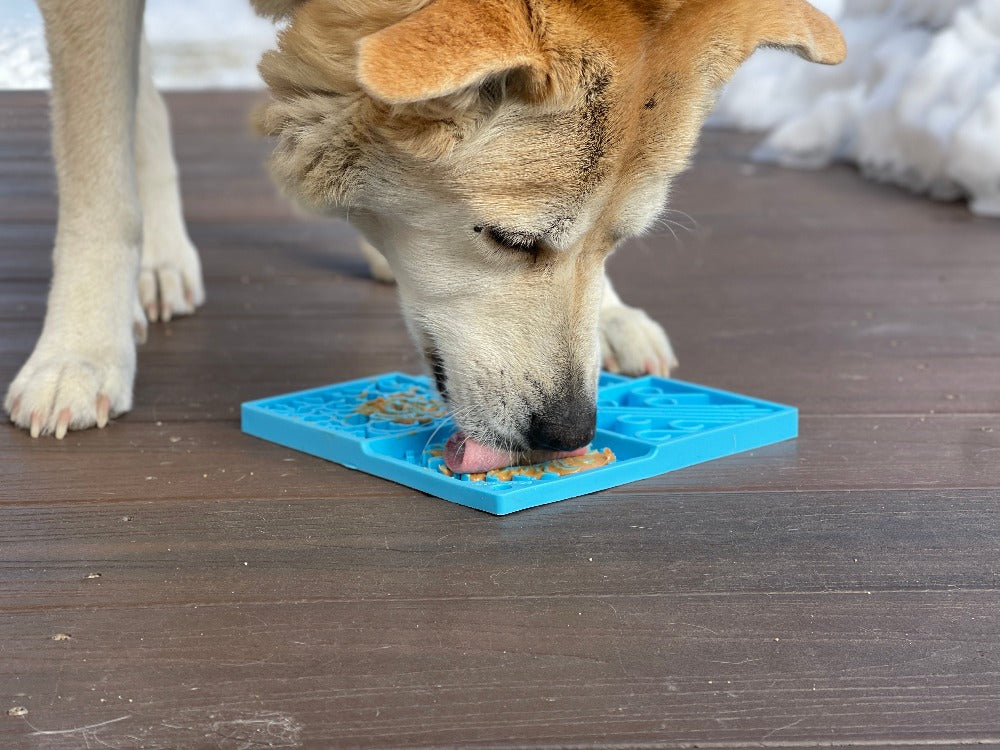 Sky eMat - Enrichment Lick Mat for Dogs and Cats | Celestial Design | SodaPup SodaPup/True Dogs, LLC