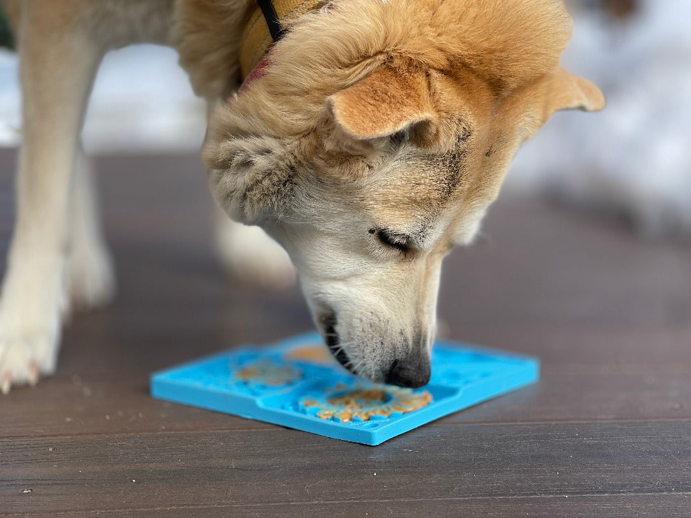 Sky eMat - Enrichment Lick Mat for Dogs and Cats | Celestial Design | SodaPup SodaPup/True Dogs, LLC