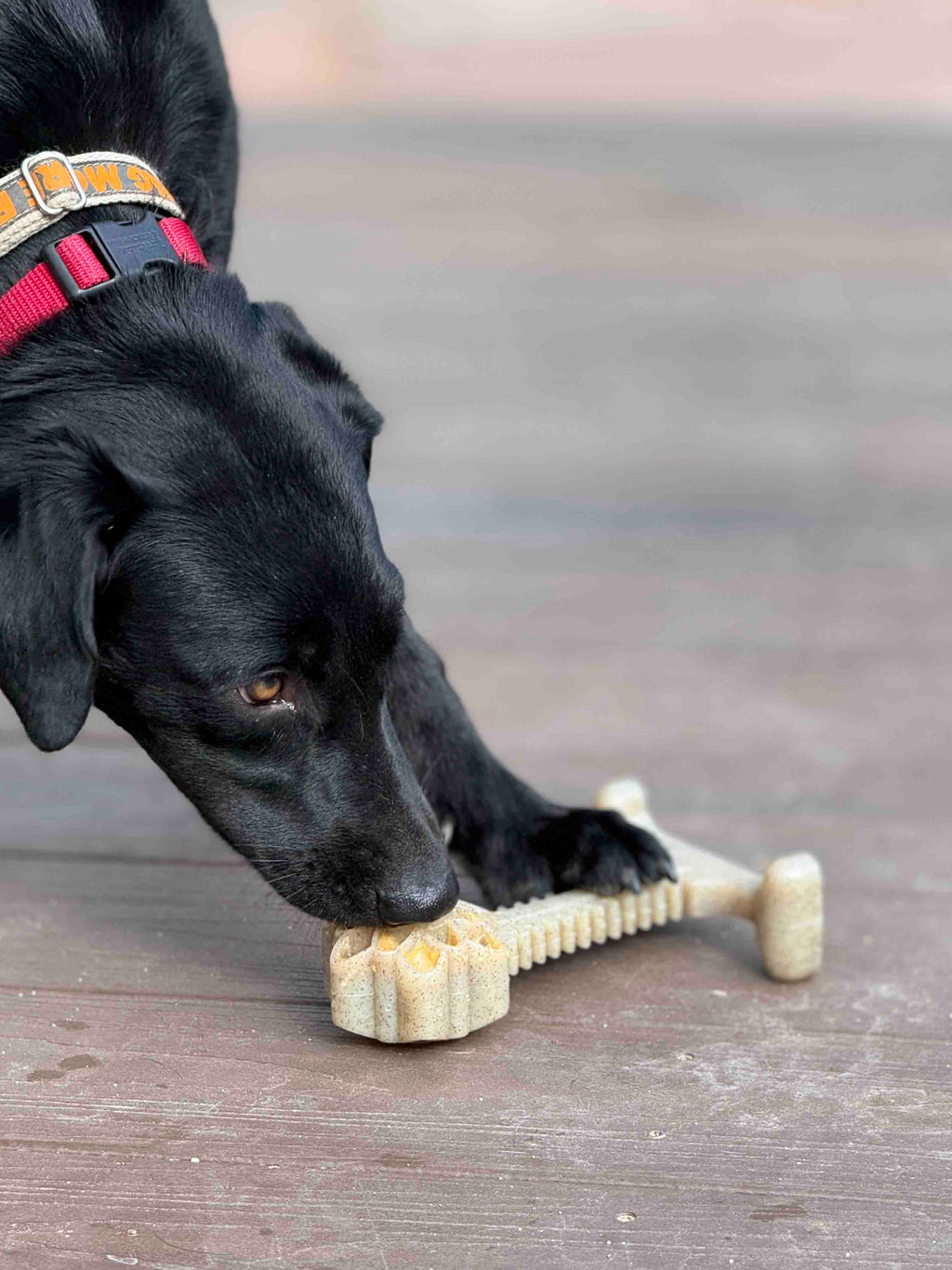 Honey Bone Dental Flower Tower - Indestructible Nylon Dog Chew Toy XL | USA SodaPup/True Dogs, LLC