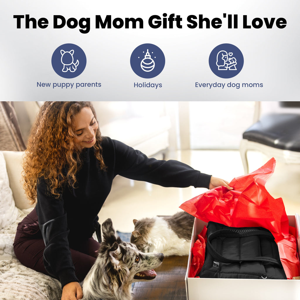 Dog Travel Bag Rubyloo