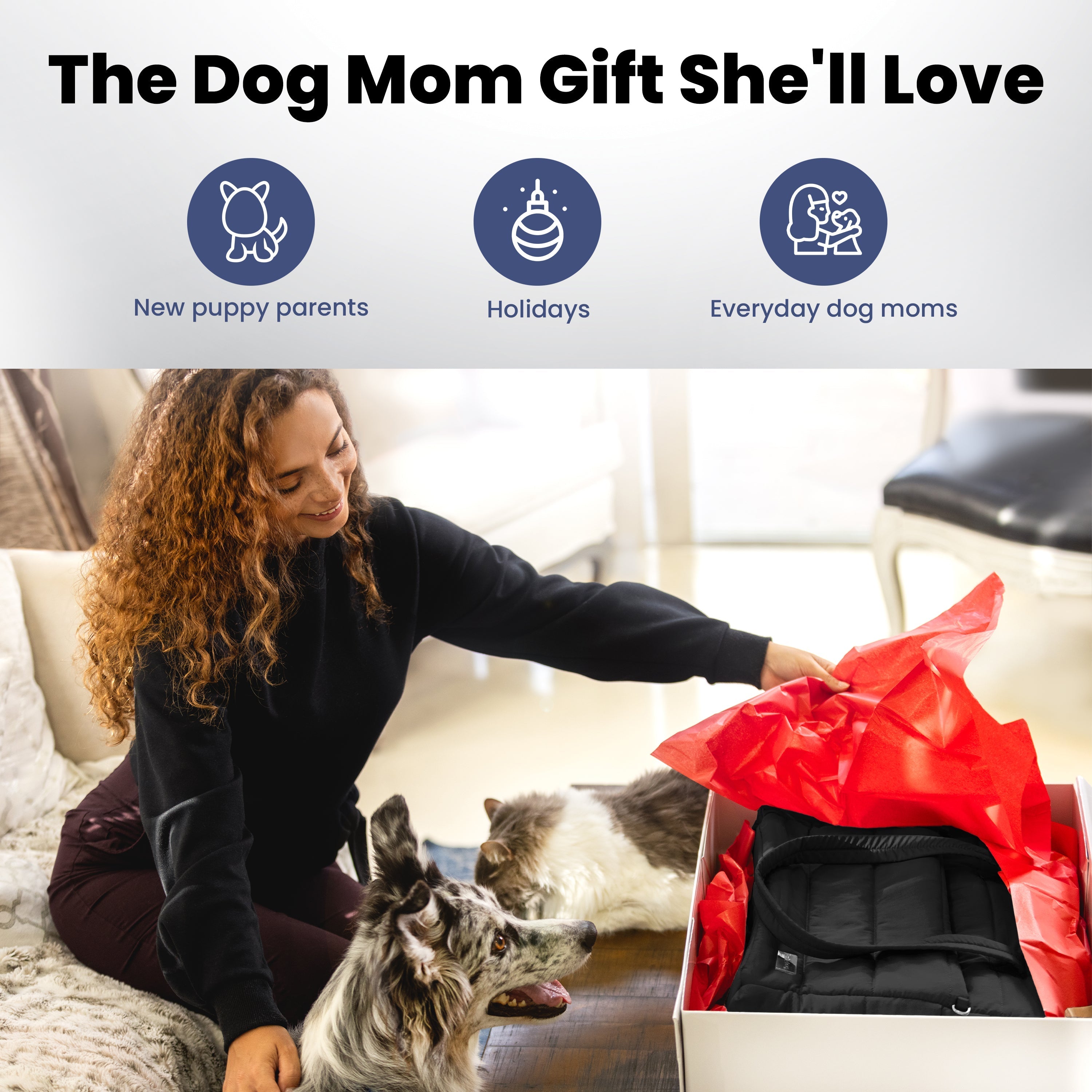 Dog Travel Bag Rubyloo