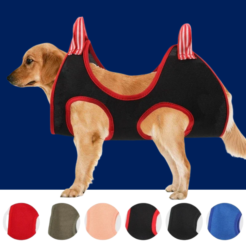 Pet Grooming Hammock for Dogs and Cats WTN Essentials