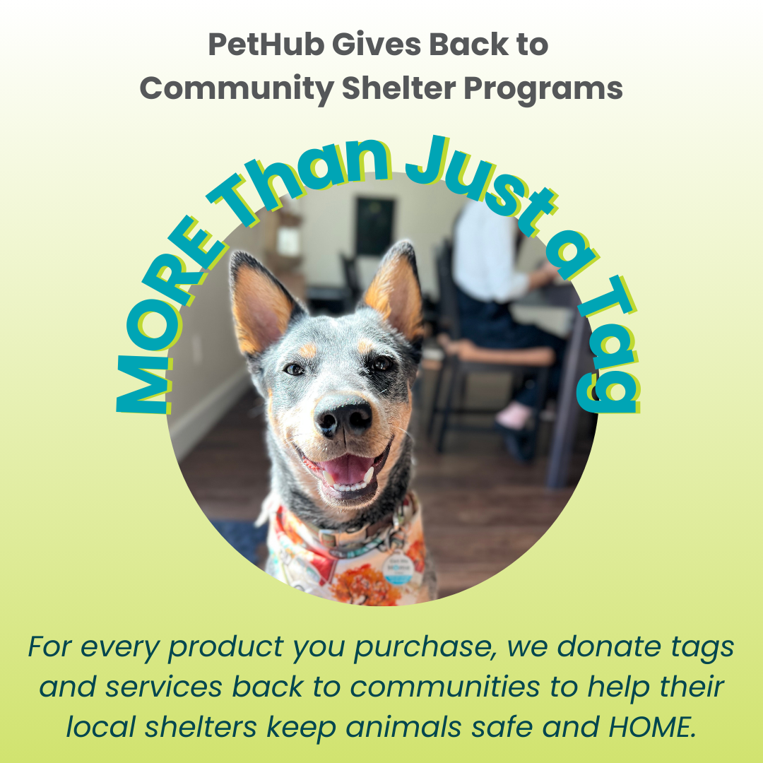 PetHub QR Pet ID Tag – Original Get Me Home Club PetHub