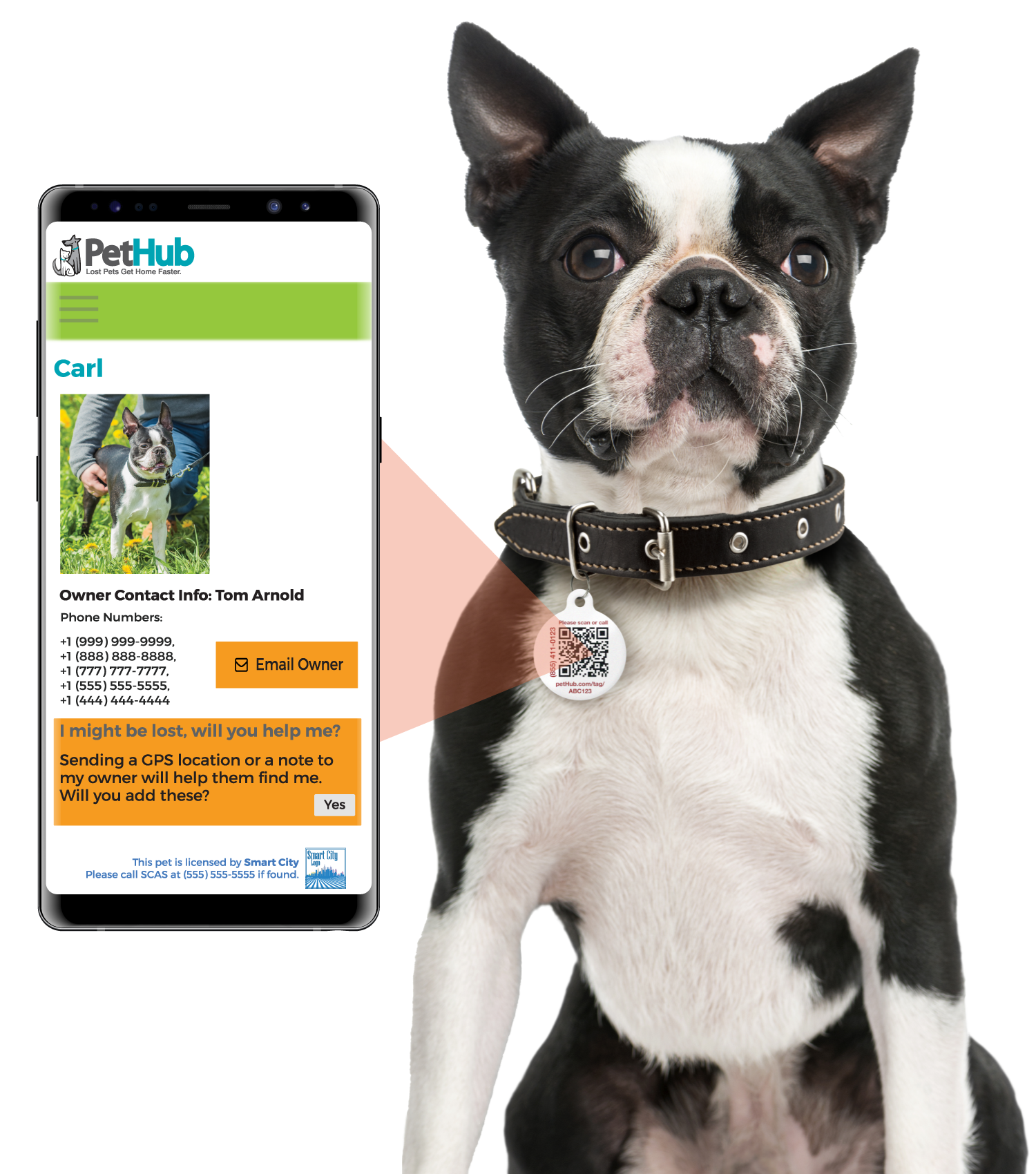 PetHub QR Pet ID Tag – Original Get Me Home Club PetHub