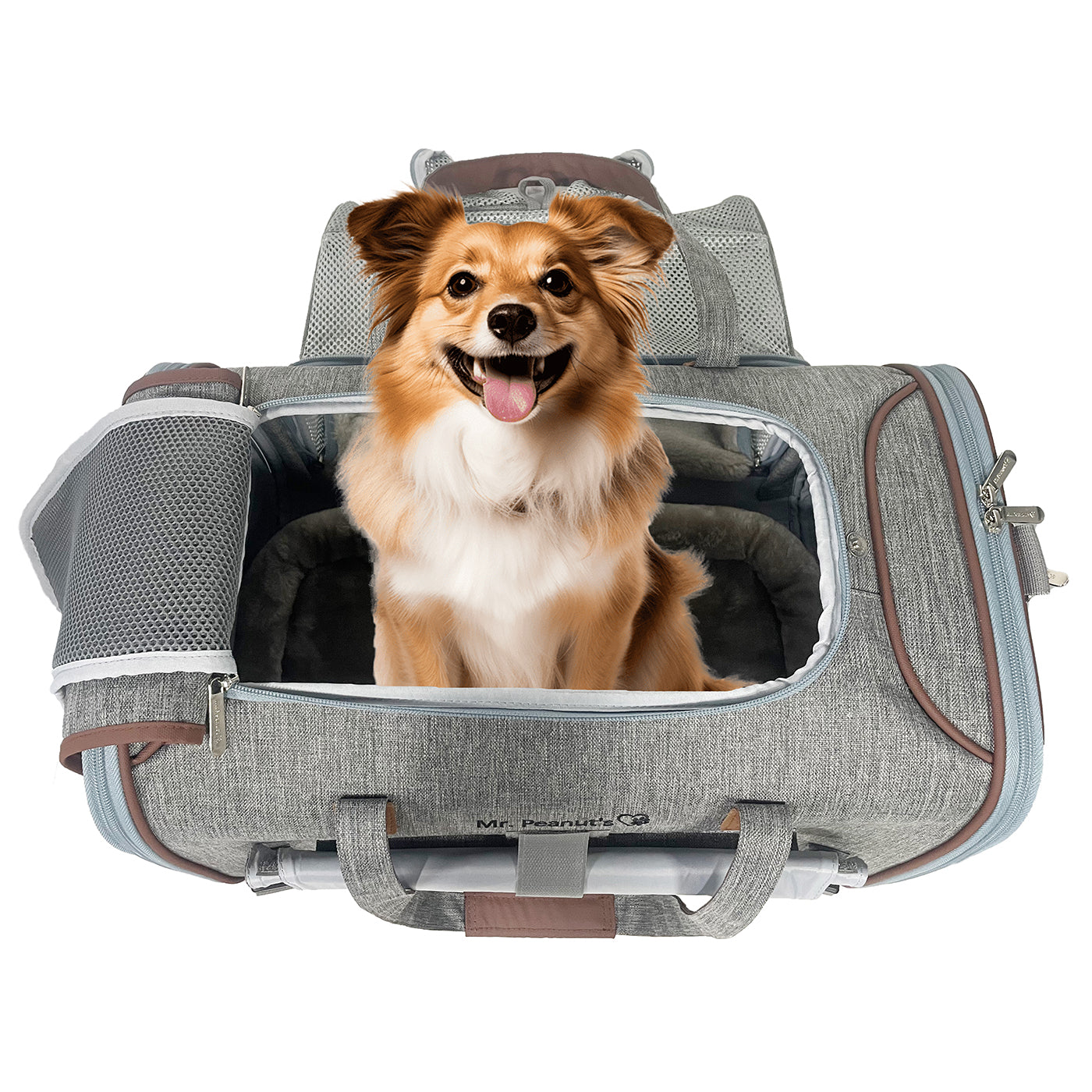Mr. Peanut's Gold Series Standard Size Airline Compliant Expandable Pet Carrier V3.0 Mr. Peanut's Pet Carriers