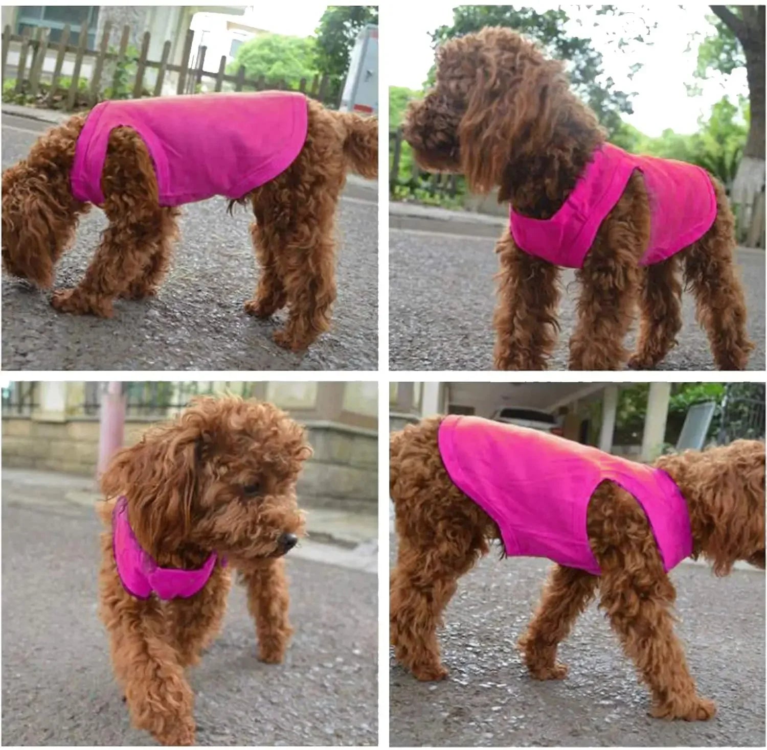 Pure Cotton Pet Shirts hoopreety Official Store
