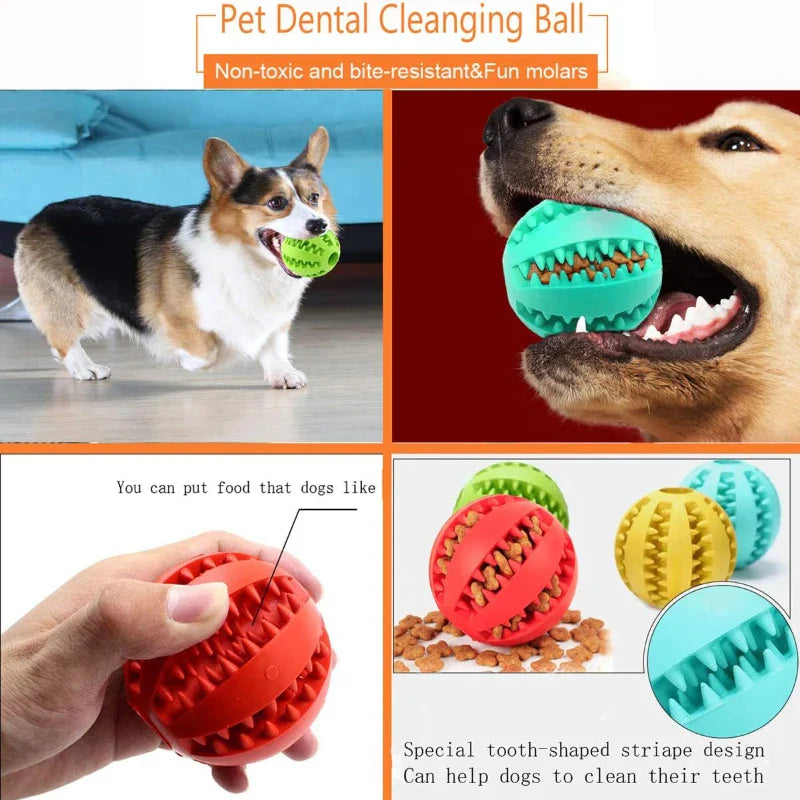 Interactive Rubber Chew Ball for Dogs & Cats — Treat Dispenser & Tooth-Cleaning Puppy Toy (5 cm / 2 in & 7 cm / 2.8 in) FanzyMarket