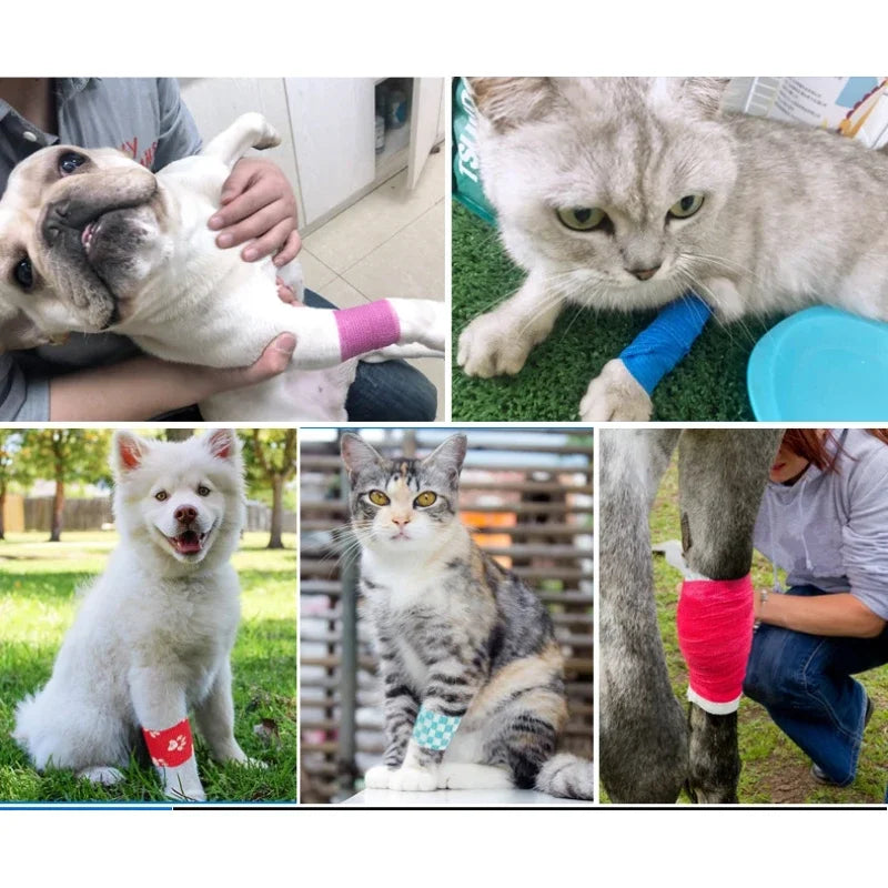 Pet Bandages LOVELY FAMILY Store