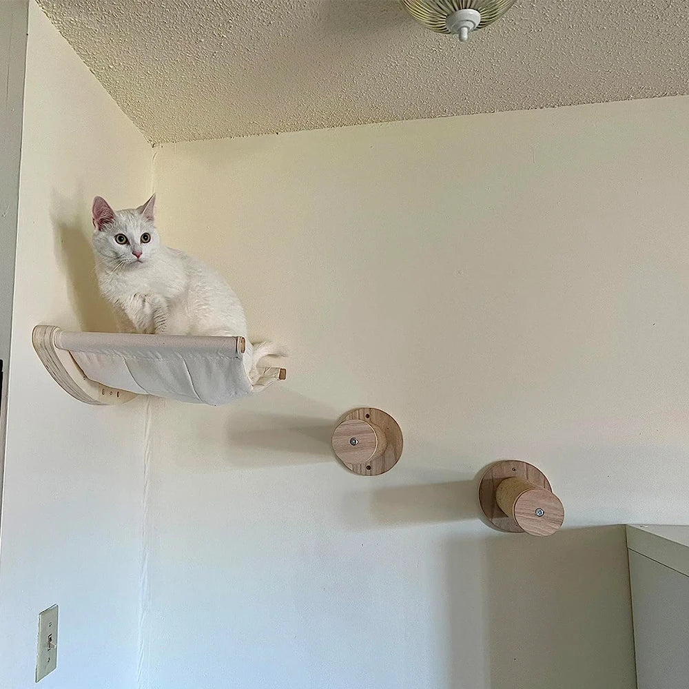 Wall Mounted Cat Climbing Shelves PATYOCAT Official Store