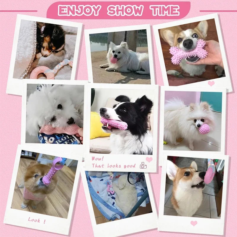 Pet Chew Toys for Cleaning Teeth Shop1103191158 Store
