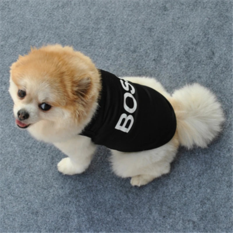 Security Pet Clothes TNINGPET Store