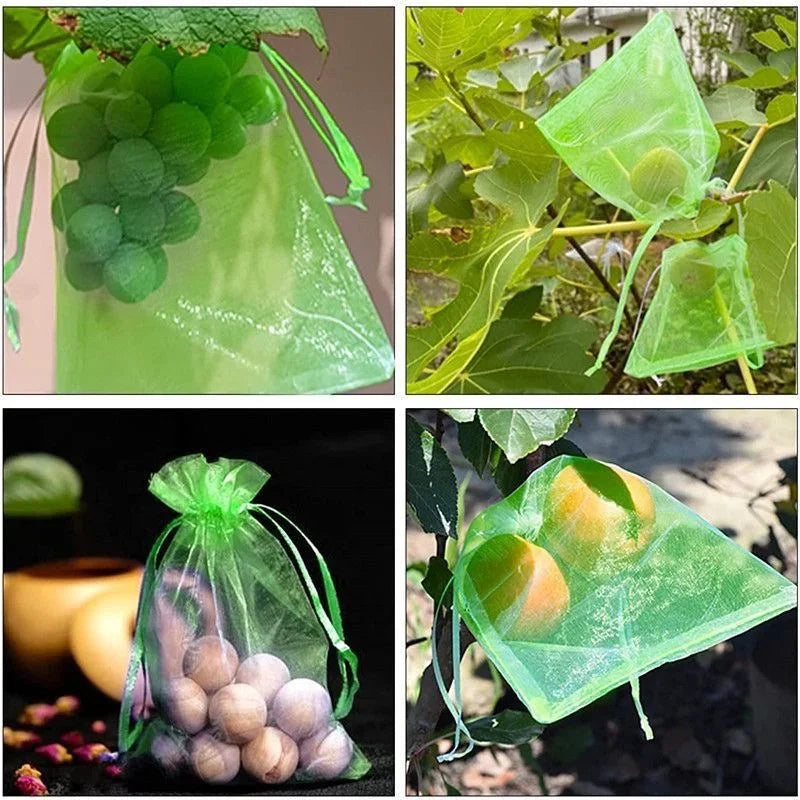 100pcs Fruit Protection Bags Lovemy Home Store