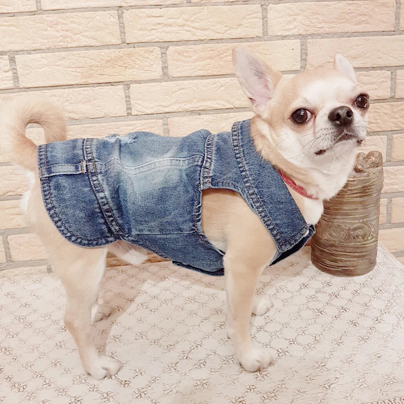 XS-2XL Denim Vest Coat Small pet Hoopreety Pet Fashion Store