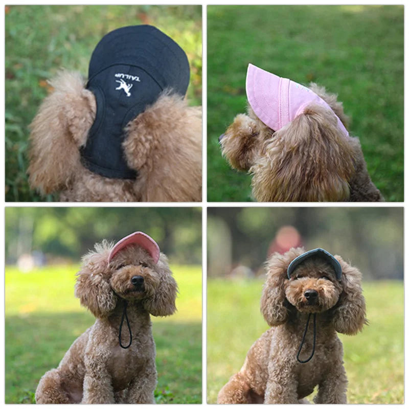 Small Pet Cap Shop1100081060 Store