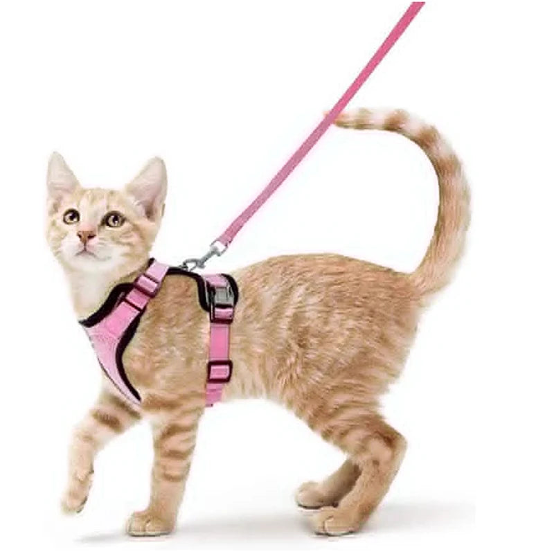 Small Pet Harness and Leash Shop1103832092 Store